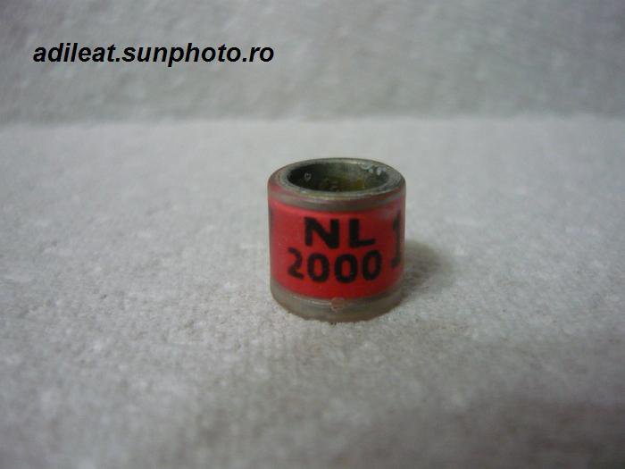 NL-2000 - OLANDA-NL-ring collection