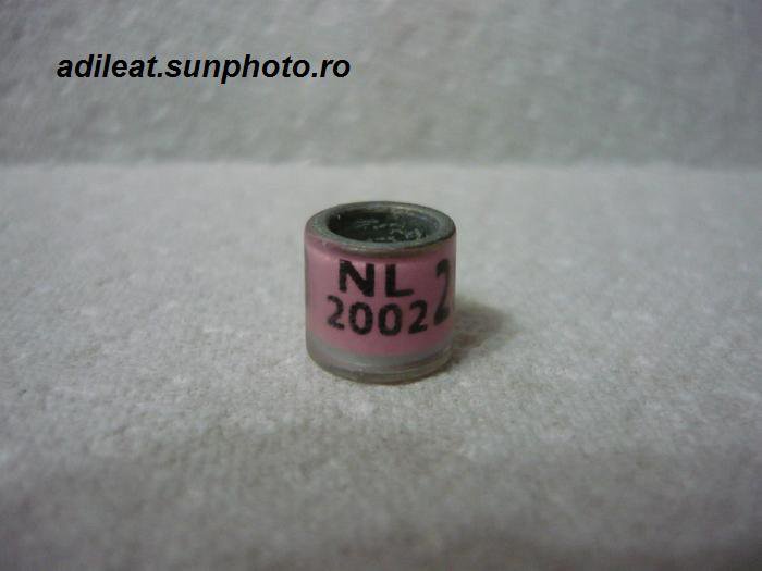 NL-2002 - OLANDA-NL-ring collection