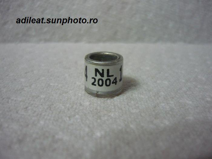 NL-2004 - OLANDA-NL-ring collection