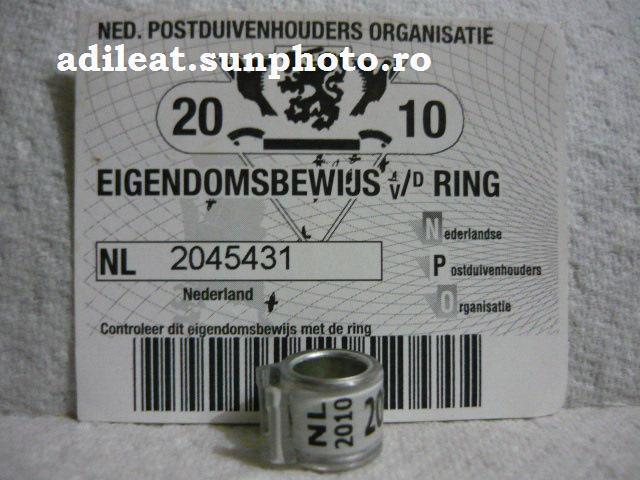 NL-2010 - OLANDA-NL-ring collection