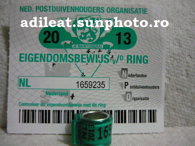 NL-2013 - OLANDA-NL-ring collection