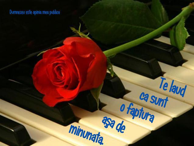 66294_439070259493540_1538640931_n