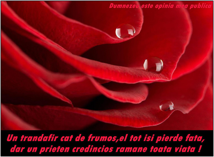 178193_438407476226485_170927244_o