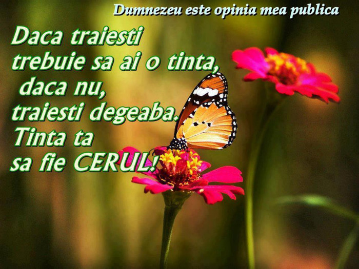 254232_438686432865256_1364703008_n - PENTRU MINE SI TINE