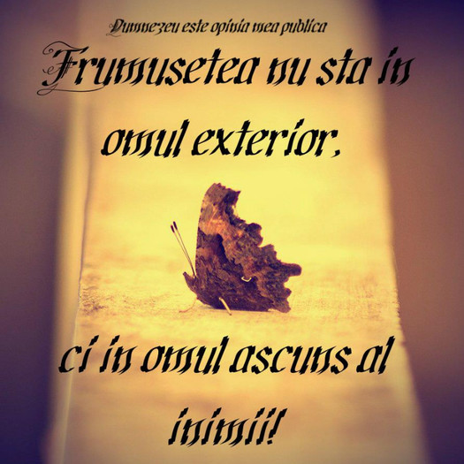 407653_437938259606740_175757827_n