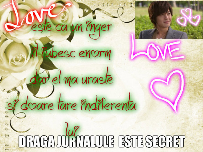 pagina din jurnalul lui Amy