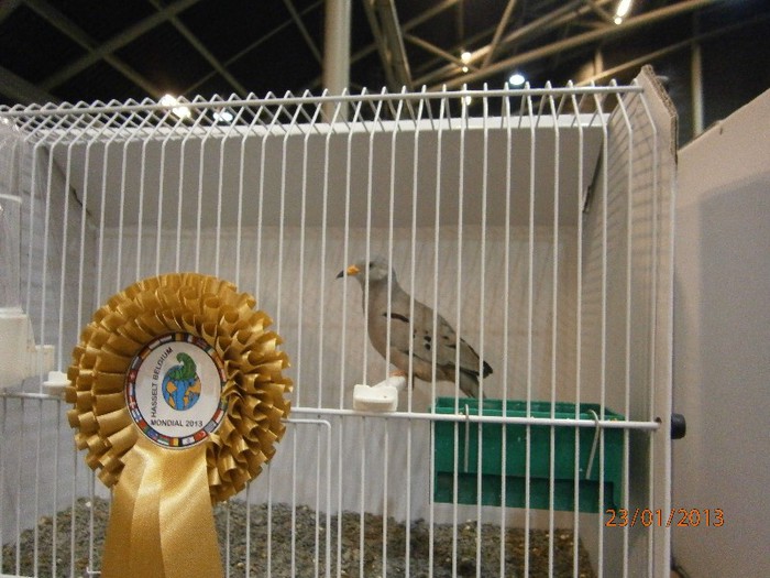 P1230090
