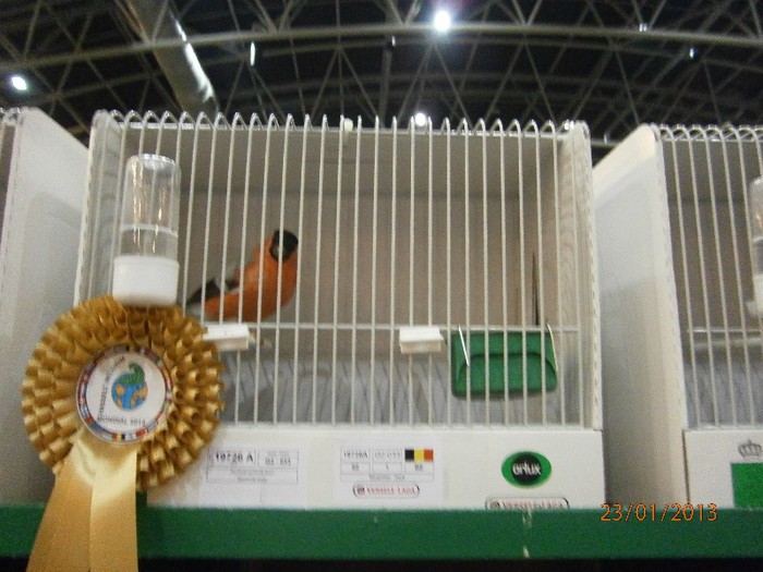 P1230130 - expo mondial 2013 hasselt belgia