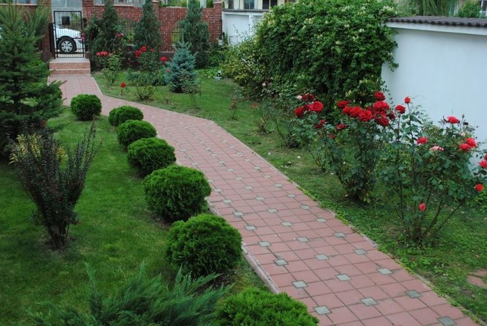 800x537_elis_pavaje_77842_pavaj_rezidential_standard_patrat_p1_patrat_p1_6 - amenajeaza-ti singur casa si gradina