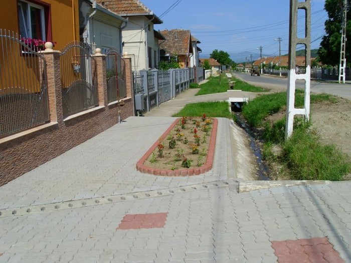 800x600_elis_pavaje_77729_pavaj_industrial_frunza_f2_frunza_f2_1 - amenajeaza-ti singur casa si gradina