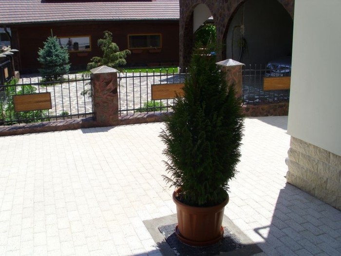 800x600_elis_pavaje_77778_pavaj_rezidential_premium_umbra_dreptunghi_umbra_dreptunghi_5 - amenajeaza-ti singur casa si gradina