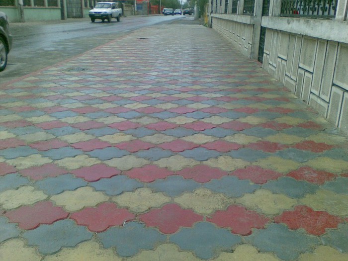 pavaje_111 - amenajeaza-ti singur casa si gradina