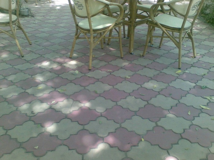 pavele_trefla - amenajeaza-ti singur casa si gradina