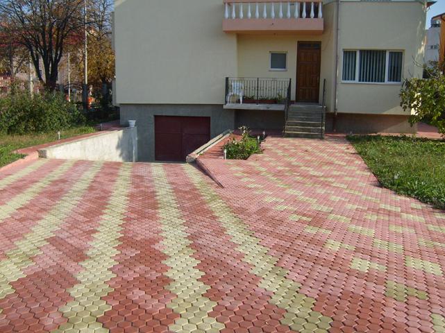 Producator-PAVELE-Constanta-info868 - amenajeaza-ti singur casa si gradina