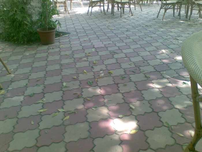trefla - amenajeaza-ti singur casa si gradina