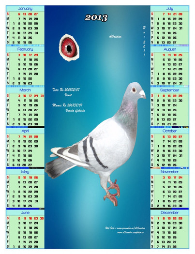 SFC-Calendar-2013 vanata - B -Calendare 2013