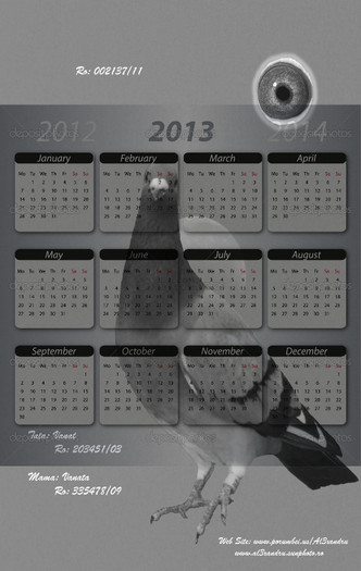 Calendar 2013 Vanat - B -Calendare 2013