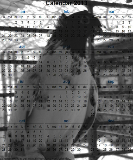 Calendar Voinea  Alexandru 1