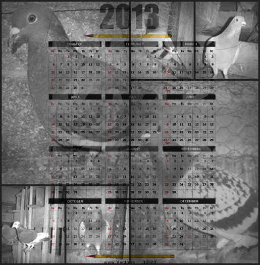 Calendar Voinea Alexandru - B -Calendare 2013