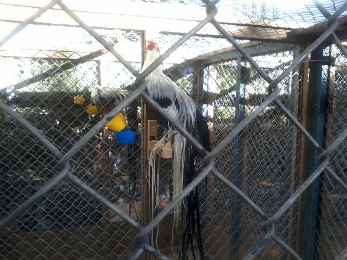 20121208_113004 - Leipzig 2012