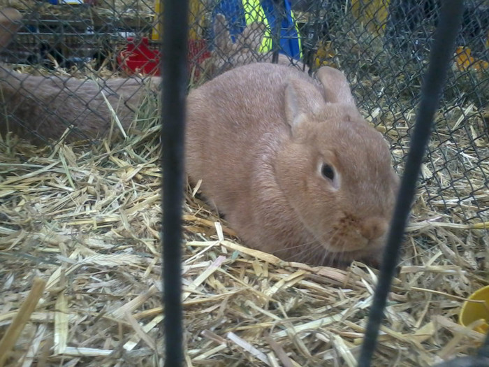 20121208_113127 - Leipzig 2012