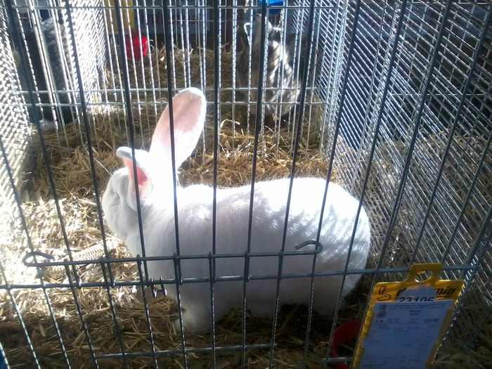 20121208_113248 - Leipzig 2012