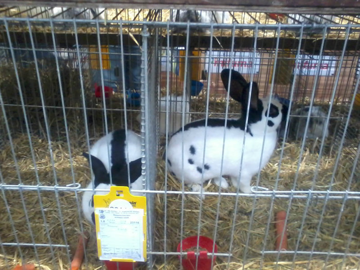 20121208_113303 - Leipzig 2012