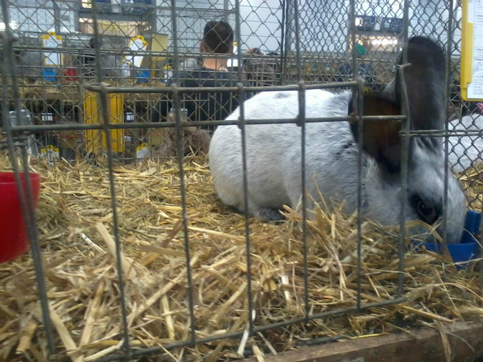 20121208_113348 - Leipzig 2012