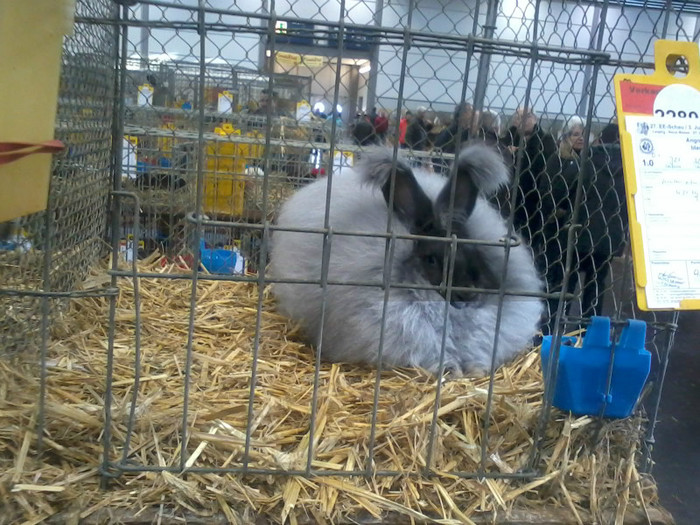 20121208_113407 - Leipzig 2012