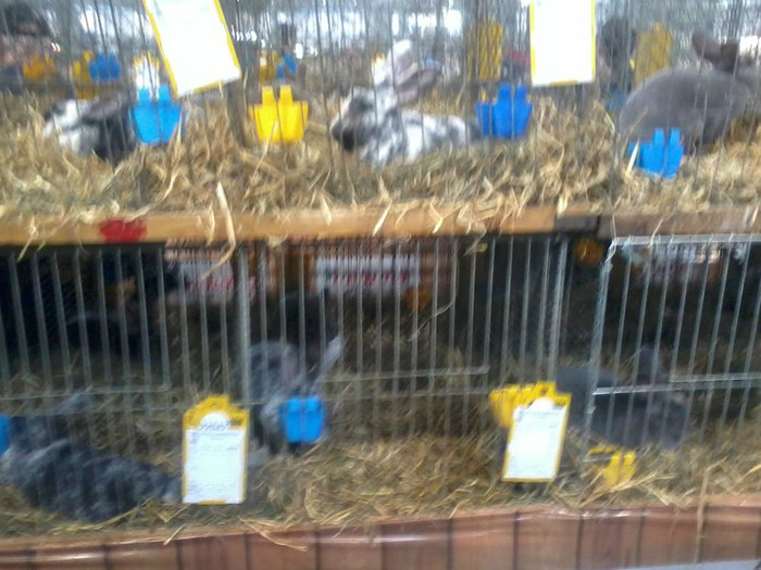 20121208_113525 - Leipzig 2012