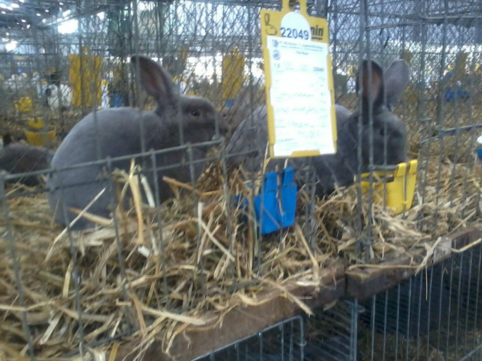 20121208_113532 - Leipzig 2012