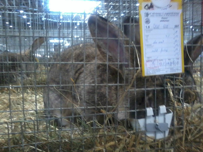 20121208_113957 - Leipzig 2012