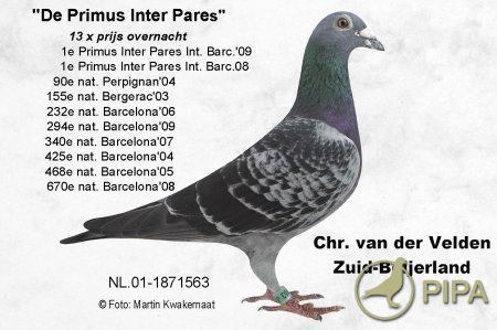 1 INTER PARES - BAZA PORUMBEILOR DE LA MATCA