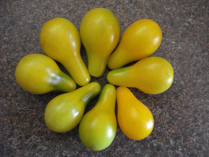 Yellow Pear Tomatoes (2009, July 28) - Tomatoes Cherry_Rosii Cherry