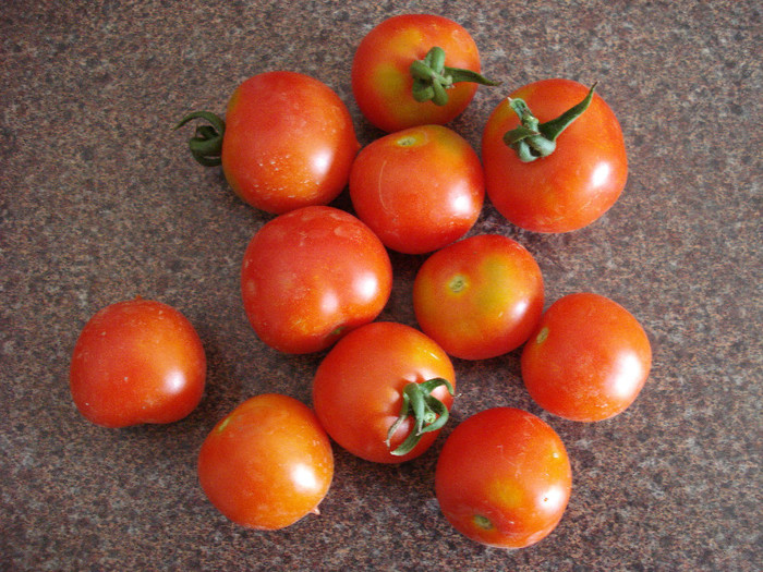 Cerise Tomatoes (2009, July 30)