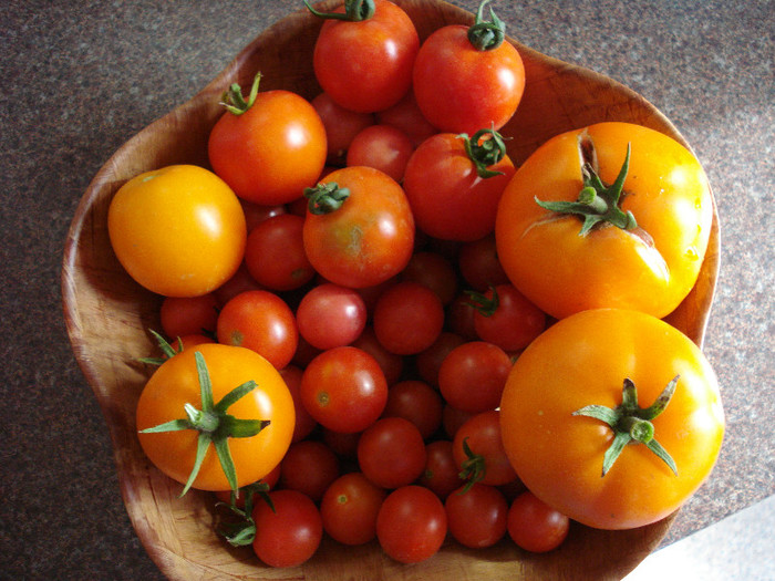 Tomatoes_Rosii (2009, July 31) - Tomatoes Cherry_Rosii Cherry