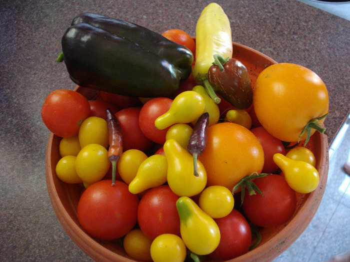Tomatoes & Peppers (2009, Aug.01)