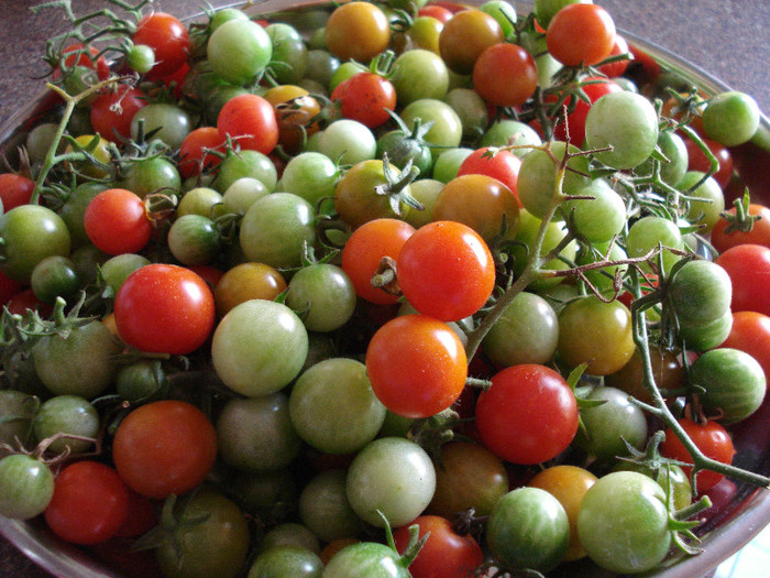 Sweet Million Tomatoes (2009, Sep.10) - Tomatoes Cherry_Rosii Cherry