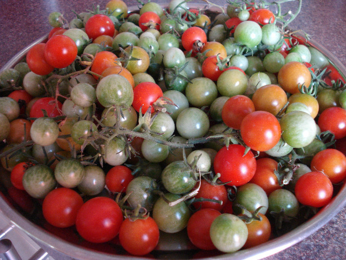 Sweet Million Tomatoes (2009, Sep.10) - Tomatoes Cherry_Rosii Cherry