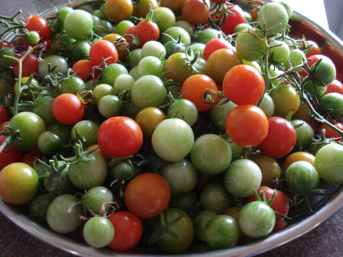 Sweet Million Tomatoes (2009, Sep.10) - Tomatoes Cherry_Rosii Cherry