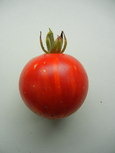 Tigerella Tomato (2011, September 09) - Tomatoes Cherry_Rosii Cherry