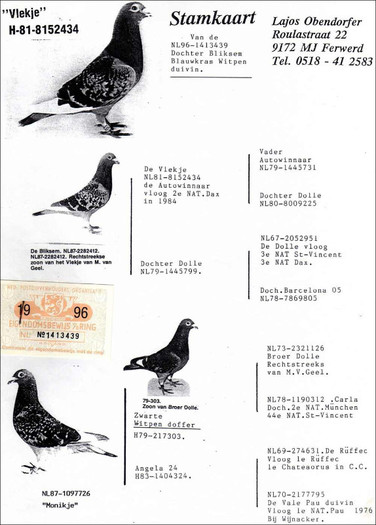 pedigree-1413439-tojo-2