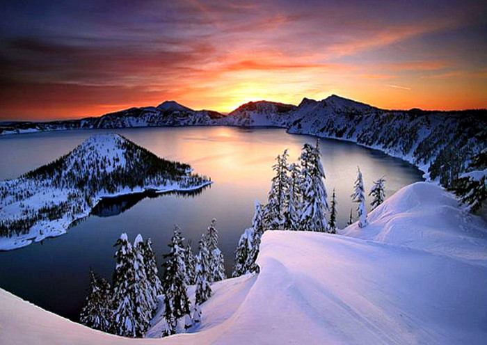 aa - NATURA MOARTA-NATURA VIE