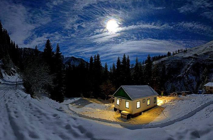 aaa - NATURA MOARTA-NATURA VIE