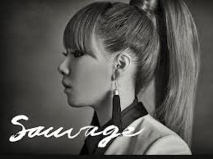 ash - Despre 2ne1