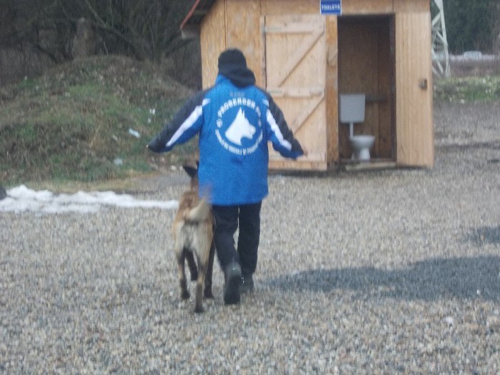 DSCN4679 - Dresaj canin Deva