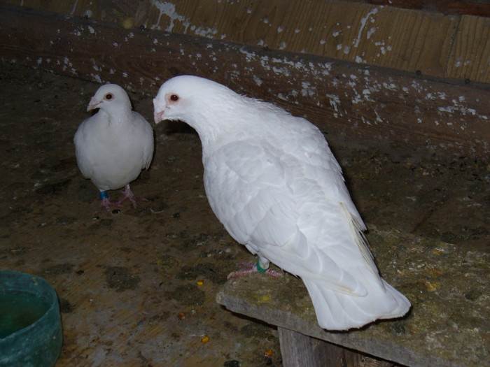 P1080486