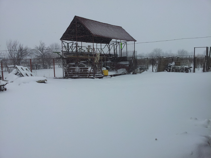 gasiti cainele in imaginea alaturata