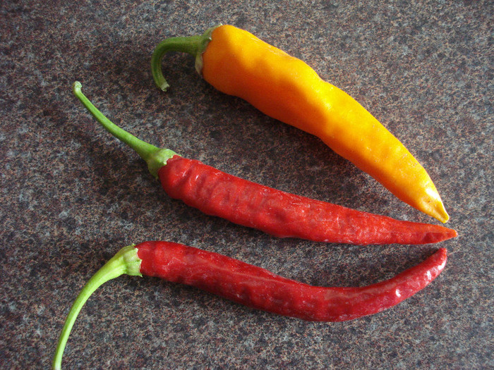 Sigaretta Bergamo & Bulgarian Carrot - Peppers Chili_Ardei Iuti