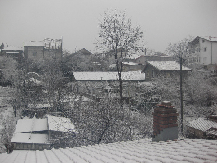 voliera este situata in coltul din stinga,jos